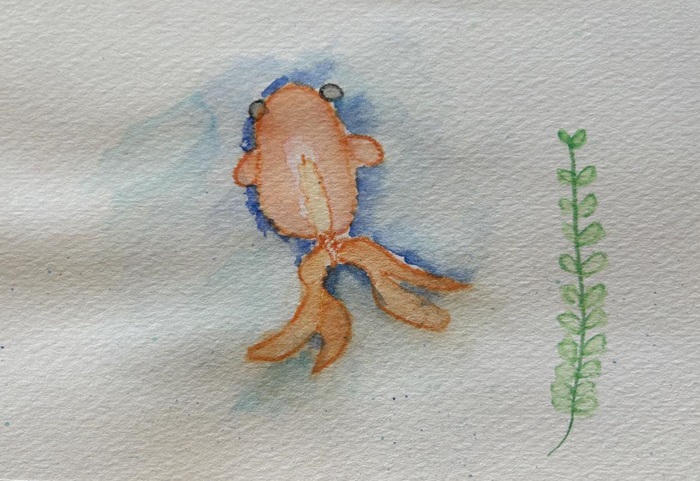 ハリハリ 作品 